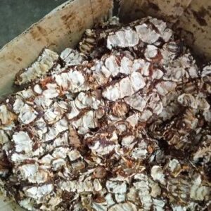 BHS TAMARIND KARI