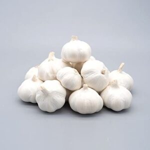 BHS LADDU GARLIC 1KG MRP Rs 300