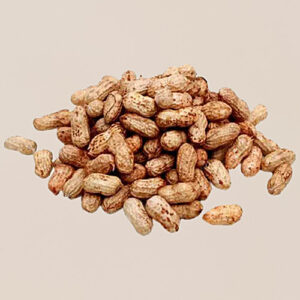 BHS GROUND NUT
