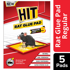 Hit Rat Glue Pad MRP Rs 60