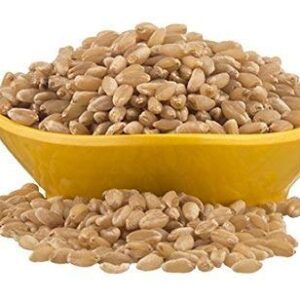 BHS WHEAT