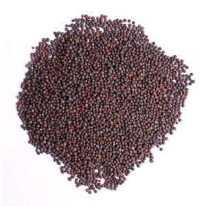 BHS MUSTARD SMALL