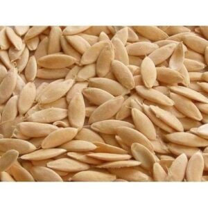 BHS CUCUMBER SEED 100G MRP Rs 56