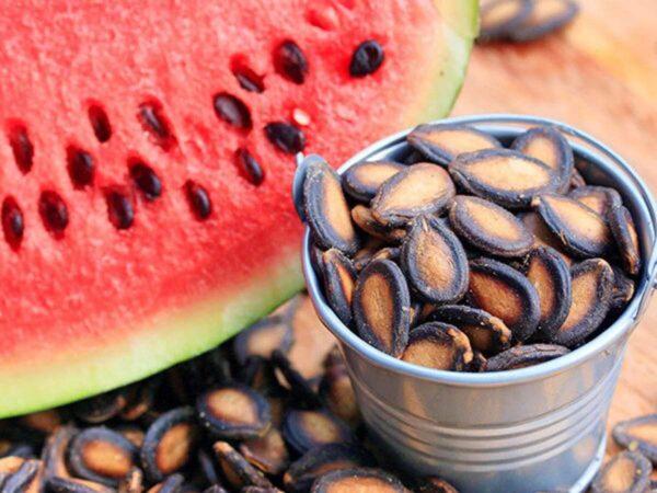 BHS WATER MELON SEED