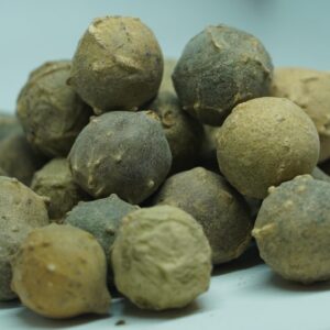 BHS MAASIKAI MRP Rs 18