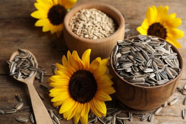 BHS SUNFLOWER SEED