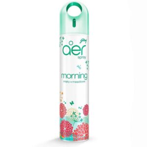 Godrej Aer Morning Misty Meadows Air Freshener - 220 ml MRP Rs 99