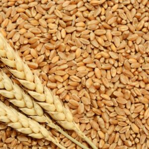 BHS WHEAT 1KG -55 MRP Rs 65
