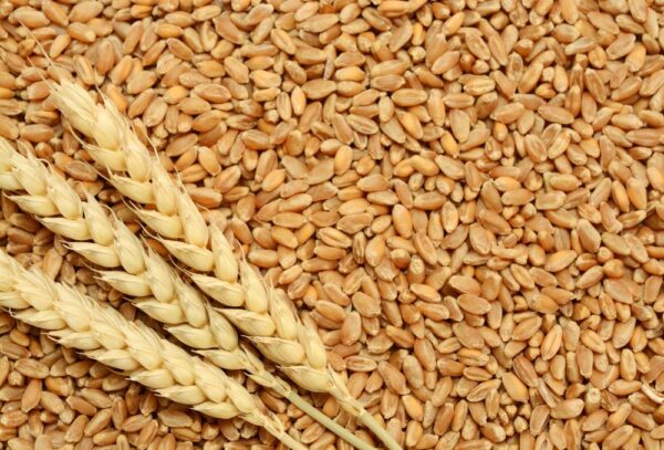 BHS WHEAT 1KG -55 MRP Rs 65