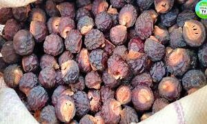 BHS SOAP KAI 50G MRP Rs 35