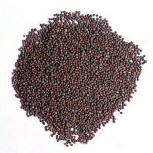 BHS MUSTARD BIG 250 G MRP Rs 35