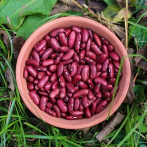 BHS RAJMA